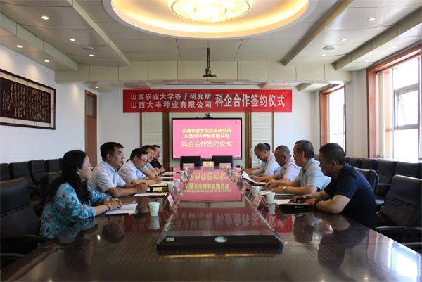 谷子所與山西大豐種業(yè)簽署科企合作協(xié)議 技術(shù)交流與轉(zhuǎn)讓開啟新篇章